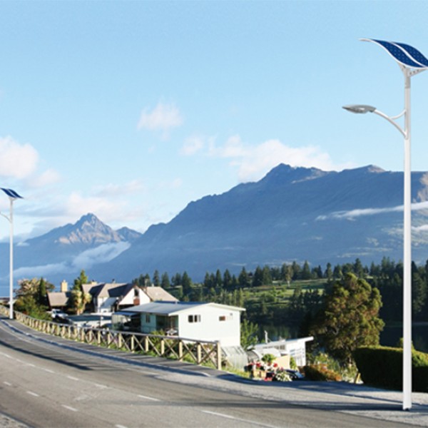 100W LED Wave Solar Street Light With Flexible Solar Panels-2FSG149