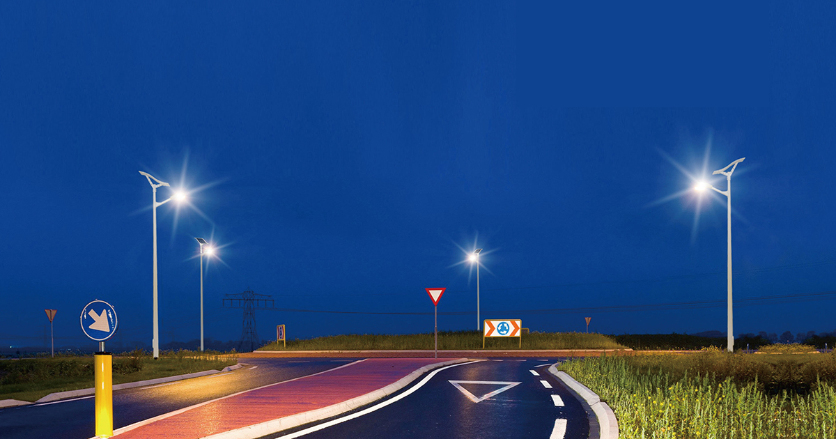 30W LED solar street light wit flexible solar panel(SUNPOWER solar cells)-NEWLIGHT ENERGY
