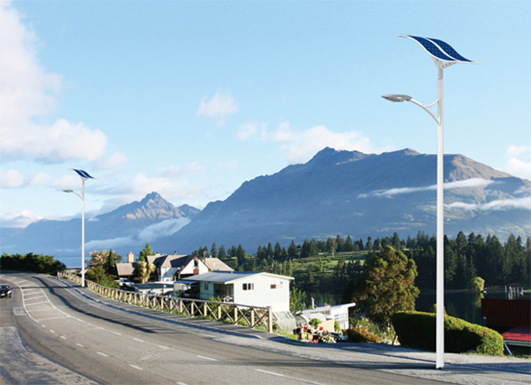 100W LED Wave Solar Street Light With Flexible Solar Panels-2FSG149-NEWLIGHT ENERGY