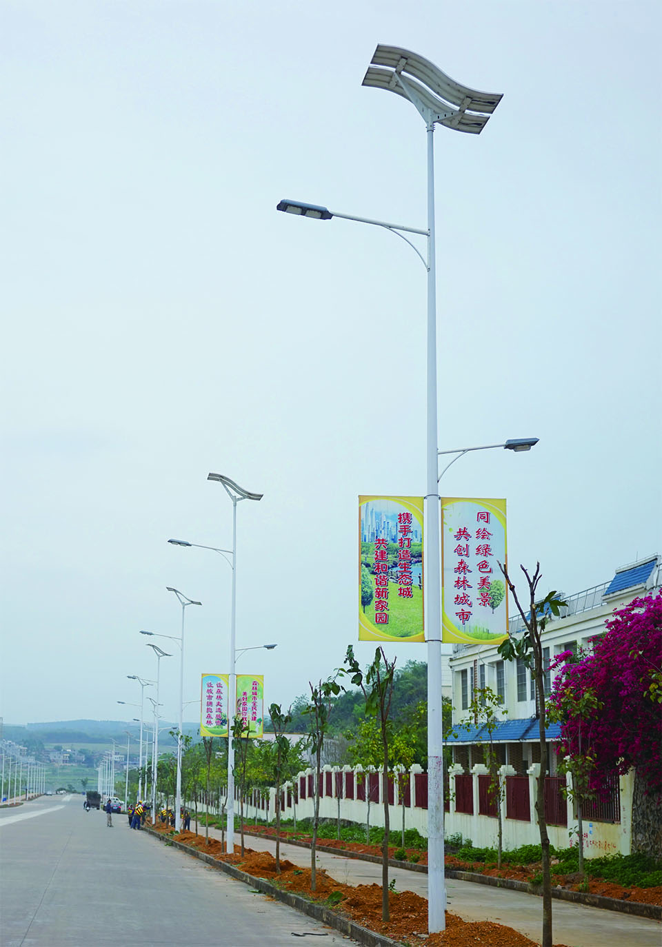 60W+20W Dual lamp LED solar street light with flexible solar panels-high powered-NEWLIGHT ENERGY