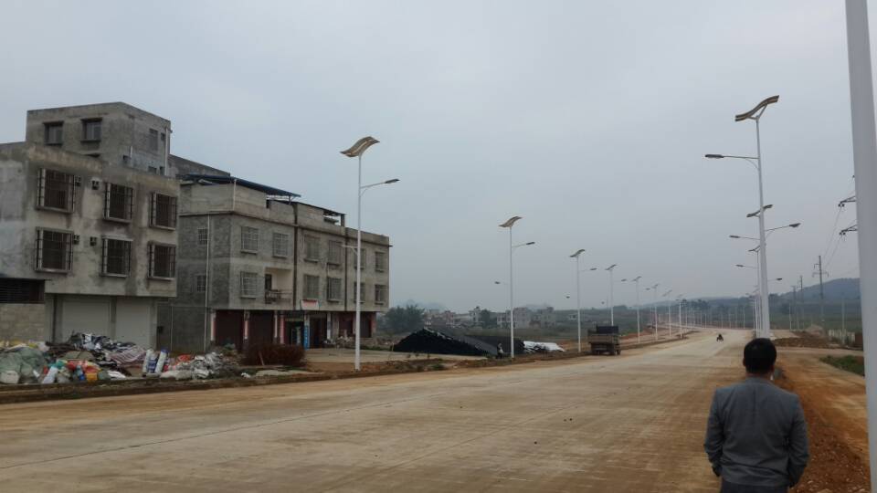 60W+20W Dual lamp LED solar street light with flexible solar panels-high powered-NEWLIGHT ENERGY