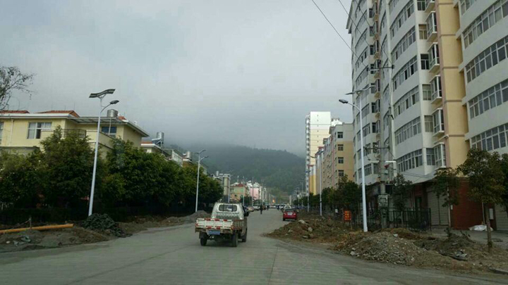 80W High power LED solar street light with flexible solar panels China-NEWLIGHT ENERGY
