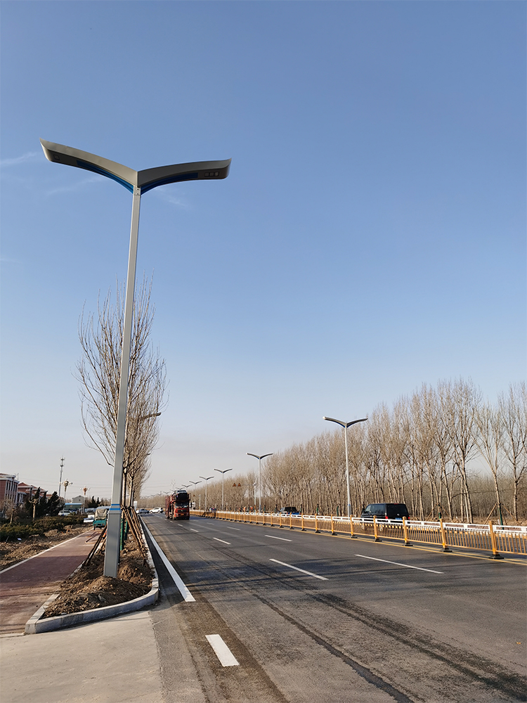 High Power Wave Solar Street Light With Flexible PV-NEWLIGHT ENERGY