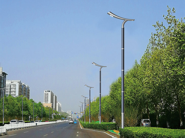 High Power Vertical Solar Street Light With Solar Cylindrical On Pole 2FSG116-NEWLIGHT ENERGY
