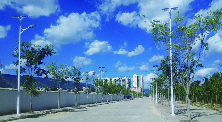 LED solar street light with flexible solar panel project China-NEWLIGHT ENERGY