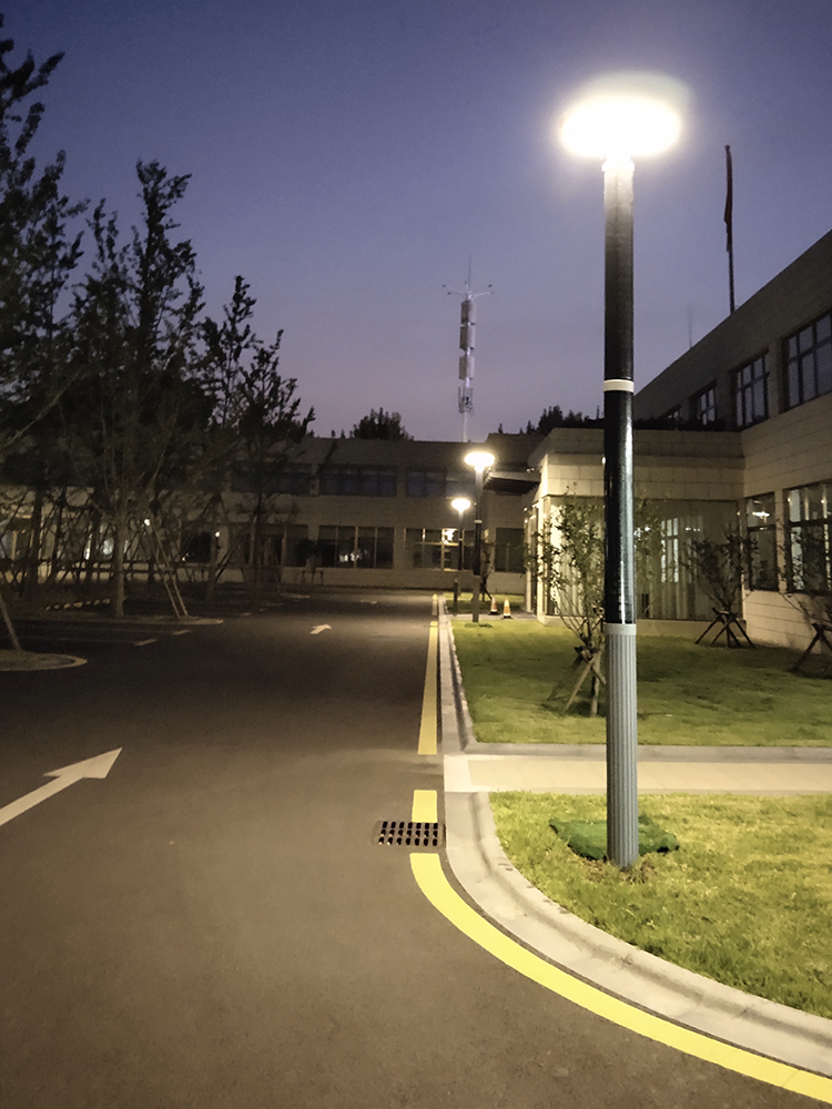 40W solar Lotus light for solar wrap pole project-Model: 2FSG016A-NEWLIGHT ENERGY