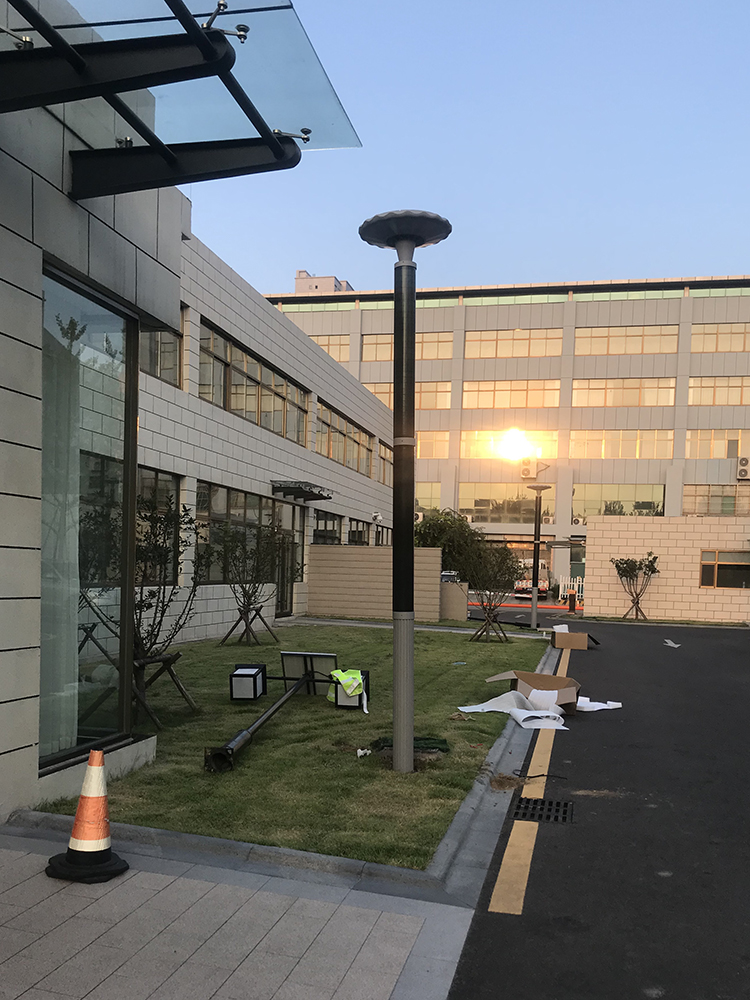 40W solar Lotus light for solar wrap pole project-Model: 2FSG016A-NEWLIGHT ENERGY