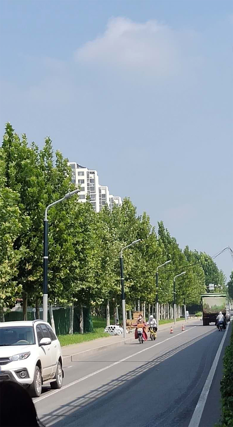 40W LED solar wrap pole for street light project-Model 2FSG018-NEWLIGHT ENERGY