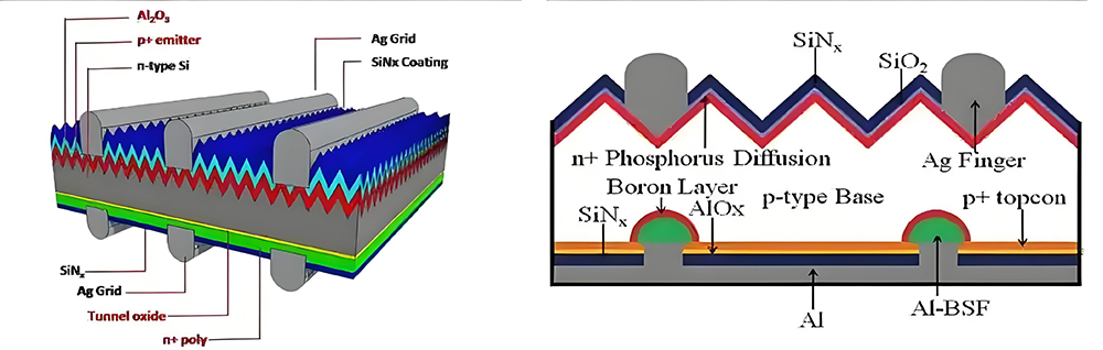 Choosing the Best Solar Technology: TOPCon vs PERC Solar Cells-NEWLIGHT ENERGY Choosing the Best Solar Technology: TOPCon vs PERC Solar Cells-NEWLIGHT ENERGY